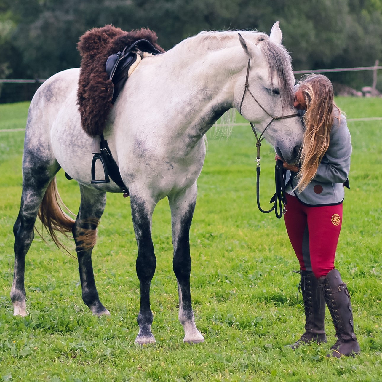 natural horsemanship 