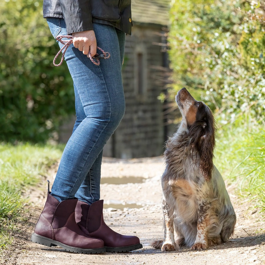 waterproof dog walking boots