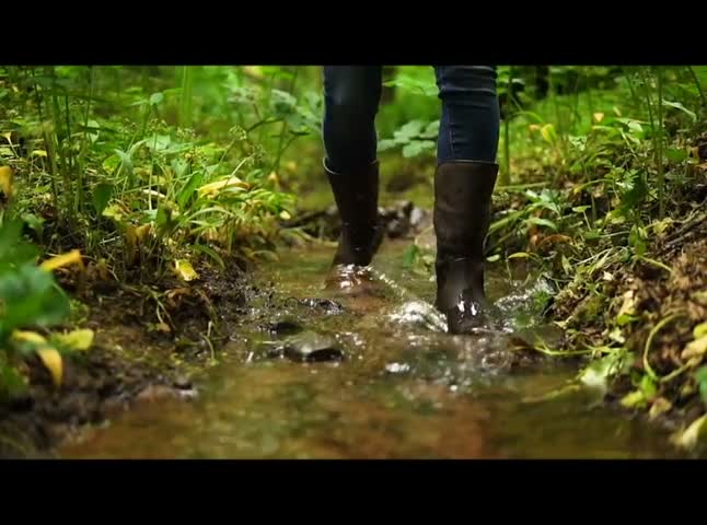 waterproof walking boots