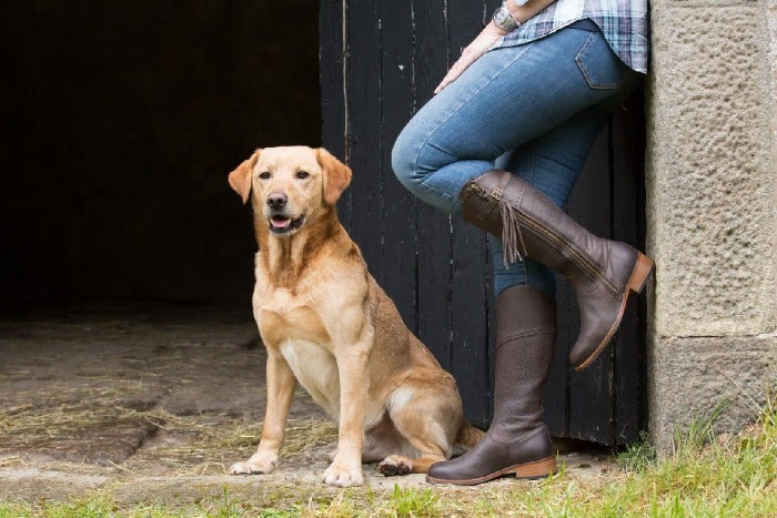 Mustang mid calf boot brown