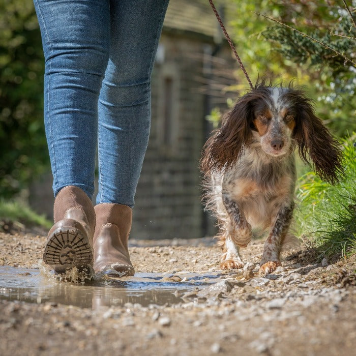 waterproof dog walking boots